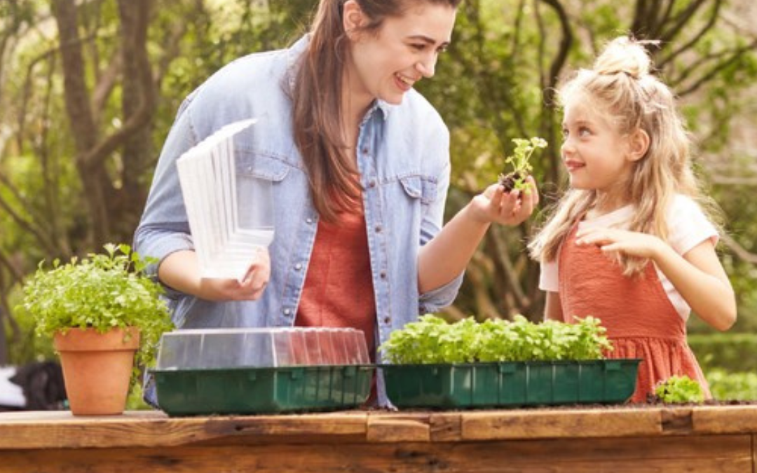 LIDL’S BIG GARDEN EVENT